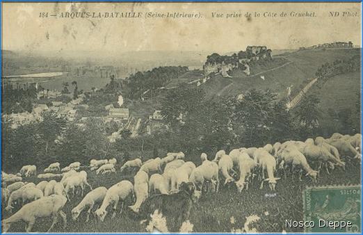 ARQUES LA BATAILLE - VUE PRISE DE LA COTE DE GRUCHET