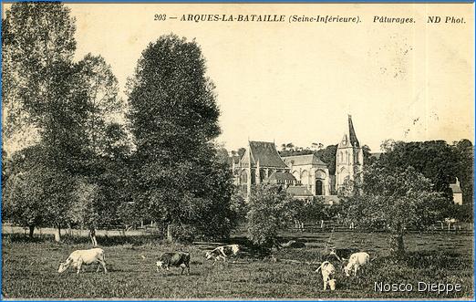 ARQUES-LA-BATAILLE - PATURAGES - ND PHOTO - 203